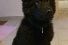 Vasko