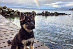 Athos