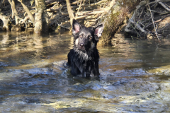 Athos
