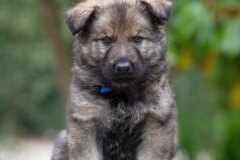 DSC_1225-2