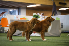 Azel et son papa Malto