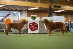 Azel et son papa Malto