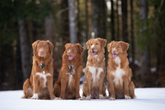 Vancouver, Tennessee, Catan, Légende