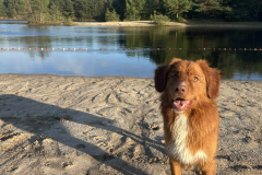 25b2da2f-e3fc-48ed-ad25-b634439e8d6f