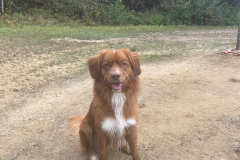 291e85ad-efc0-4b9a-a551-b295dab58fde