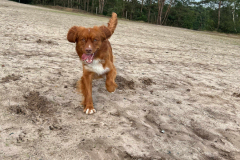 2e331f79-fb0c-43e4-9a6a-4de52610f3e3