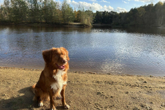 2f999be8-a7a7-42e9-8cfa-01c78400e94a