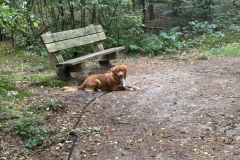 5ecd4e9d-51a9-45f3-b1d1-8200627d1440