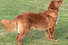 70d7ebb5-2b6b-43c3-b5cb-17e70bad904d