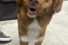 84fcf8f4-4ea7-4abf-afea-81cc66ed48a9