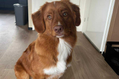 927d72b7-5407-4cd3-af4b-da168513d250