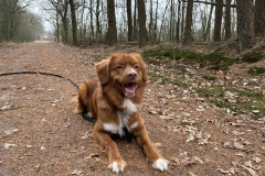 b4b3368d-8d29-4927-a701-1e0d1d1997d7