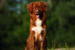 photo.89c745a74a9eeb06