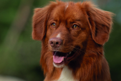 photo.8db477cdd6befe60