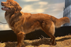 photo.94857e3ffd4fd660