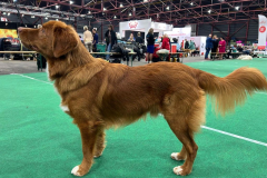 photo.9fd01863c7c73238