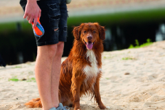 photo.a87a6d0d1bd14aec