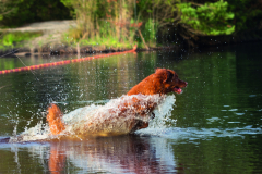 photo.b428cf6e65da68bc