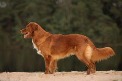 photo.bb9b51c3889963a7