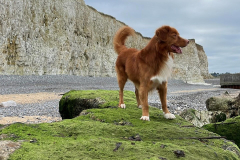 466405044_18326867074153403_4689021682916530259_n-1