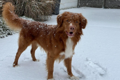 468158610_18328425070153403_2565630212825039048_n