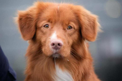 470235240_18330517447153403_9113028520963075816_n