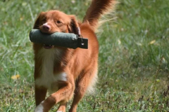 491928130_10238538383497754_4921917303423501170_n