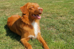 491958025_10238371748291978_5023115716532283107_n