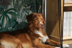 492087678_10238482193133030_6795381149279511117_n