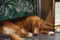 492234395_10238482193413037_8931884453646683656_n