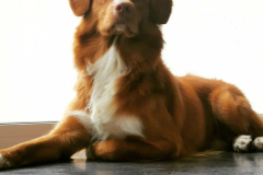 492347653_10238494786407854_899897215115384604_n