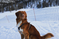 501219708_10239025740001362_6782248686575336493_n