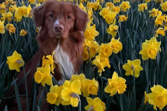 502843937_10239041146266509_3887258272510172200_n