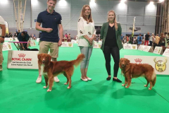 503879954_10239137821723335_7819179655248413810_n