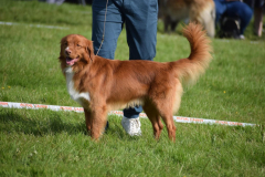 504055320_10239096205722961_2963316136356753016_n