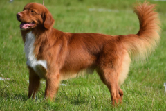 504078926_10239096205242949_6665183914690200782_n