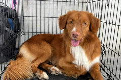 504385573_10239121852884124_2007550420722133535_n