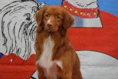 506717562_10239255432623534_3296746025814877950_n