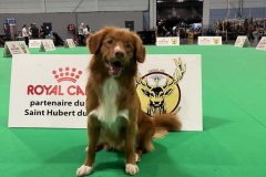 509355986_10239366743246230_6821317876582369995_n