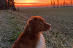 5e32210d-4f3e-4976-8aab-fef20a34cb90