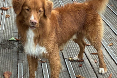 60a77d6b-b7f0-449b-b98a-e3ddfd139630