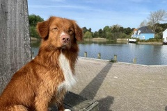 867107dc-88e3-4da0-906e-fd4b8cc6ec90