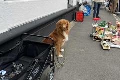 ecd6c499-3dfc-4570-8997-38abedd5e773