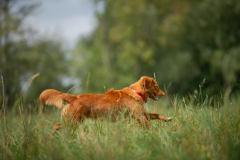 DSC_4899