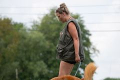 DSC_4910