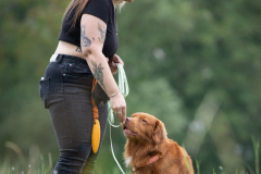 DSC_5072