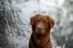 WhatsApp-Image-2025-12-26-at-21.06.577