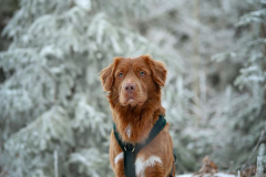 WhatsApp-Image-2025-12-26-at-21.06.588