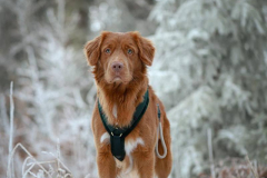 WhatsApp-Image-2025-12-26-at-21.06.589