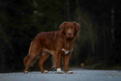 WhatsApp-Image-2025-12-26-at-21.05.581